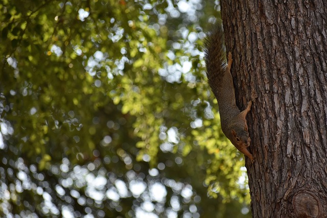 青訓體系等 青訓體系等