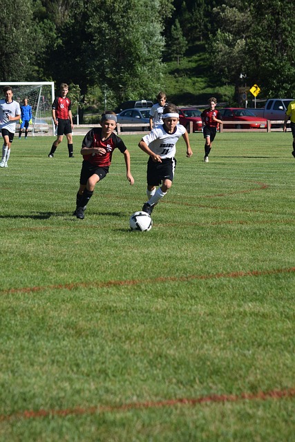 鹈鹕体系变 鹈鹕体系变