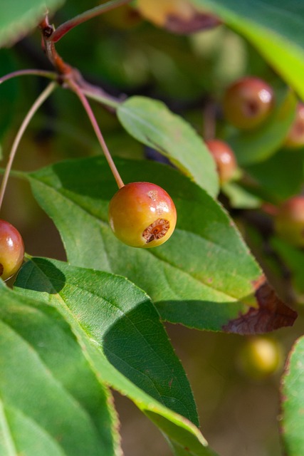 练的战术能 练的战术能