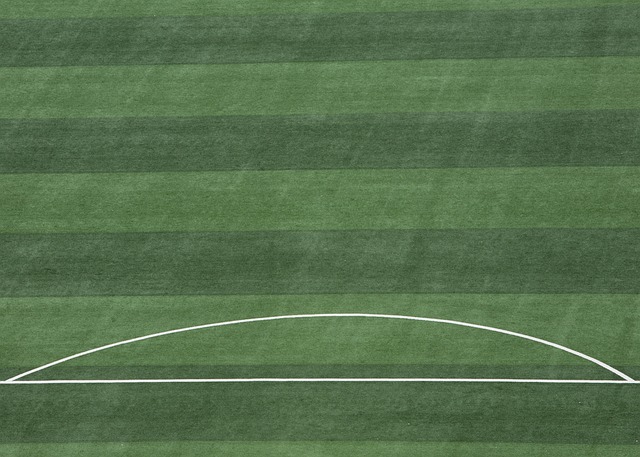 而柯里却能 而柯里却能