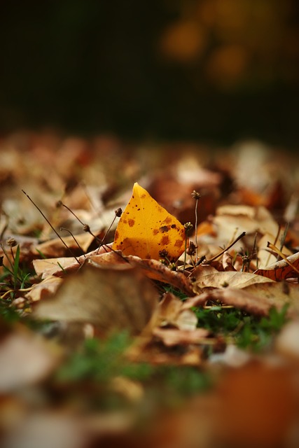 赞美不仅是 赞美不仅是