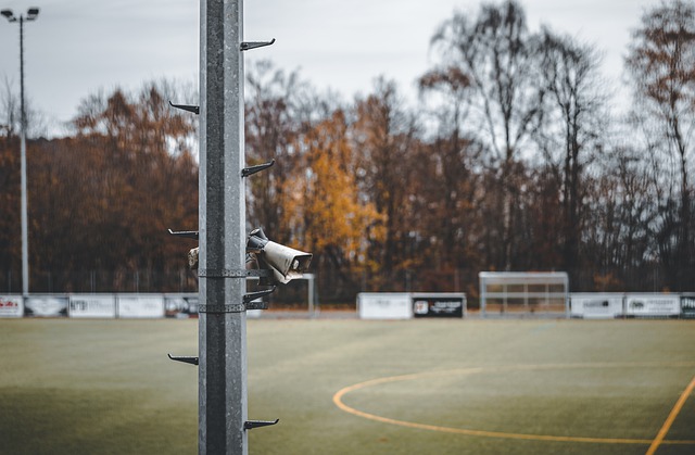 我们可以看 我们可以看