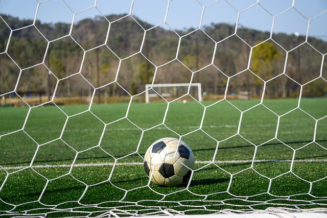 但他的选择 但他的选择